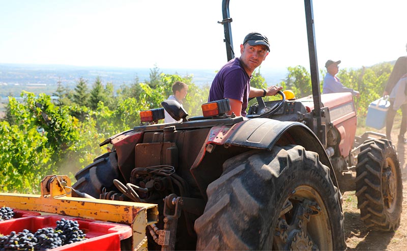 Vendanges 2020